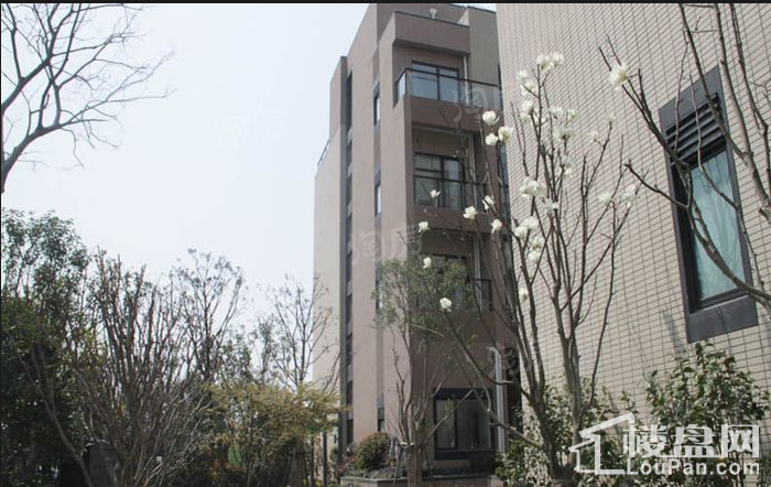 O·park 花园办公墅实景图