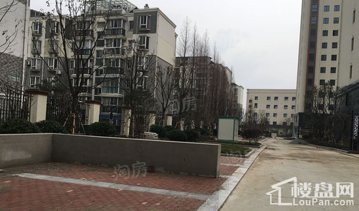 实景图