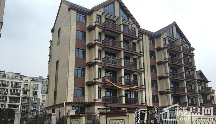 瑞凯丽庭实景图
