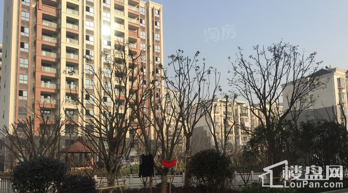 瑞凯丽庭实景图