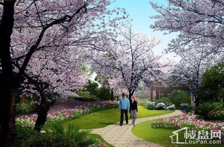 松江颐景园效果图