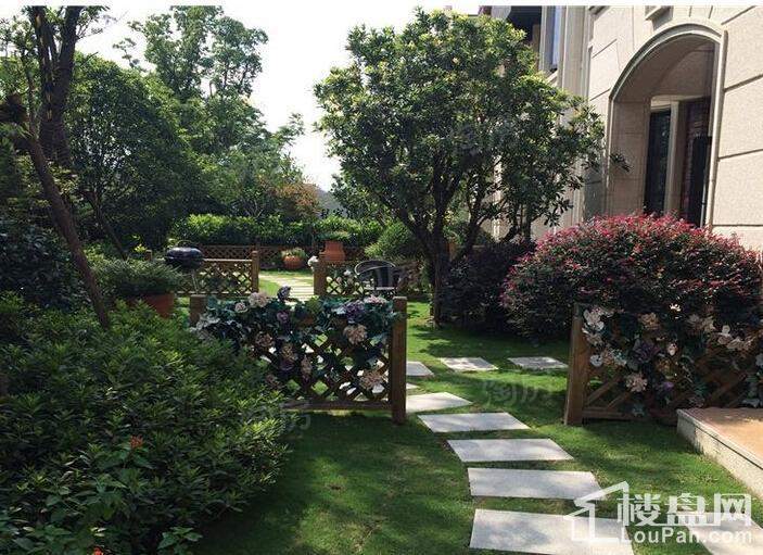 松江颐景园实景图