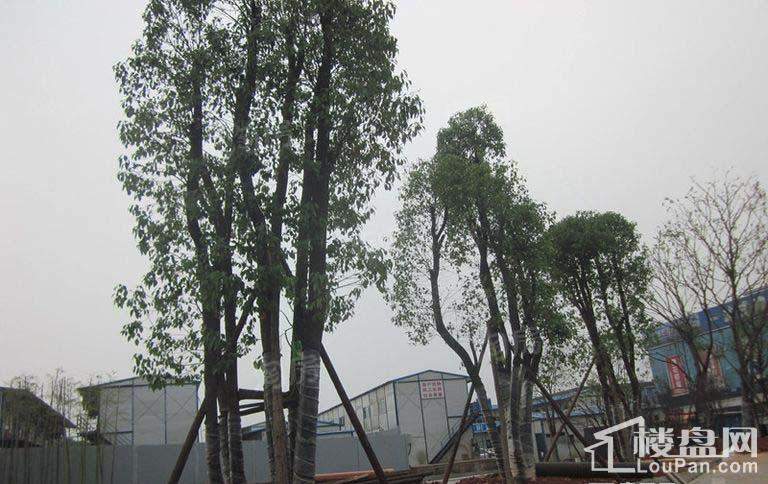 五矿万境蓝山实景图