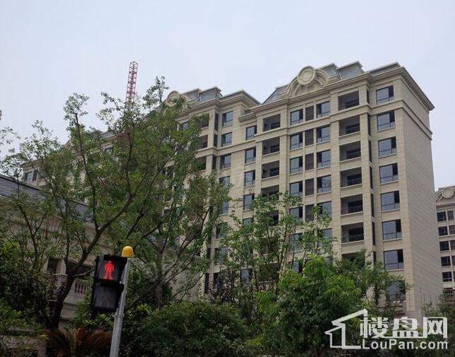 光明松江府实景图