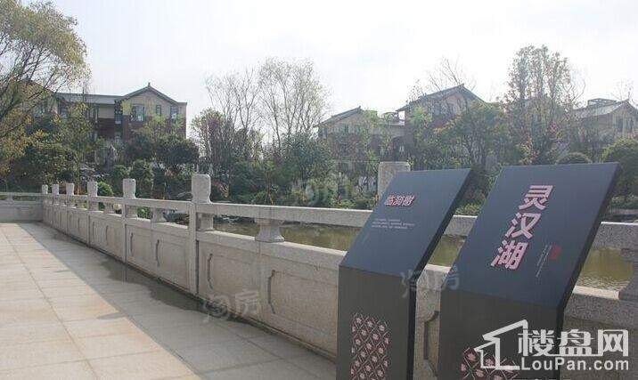 大汉汉园实景图