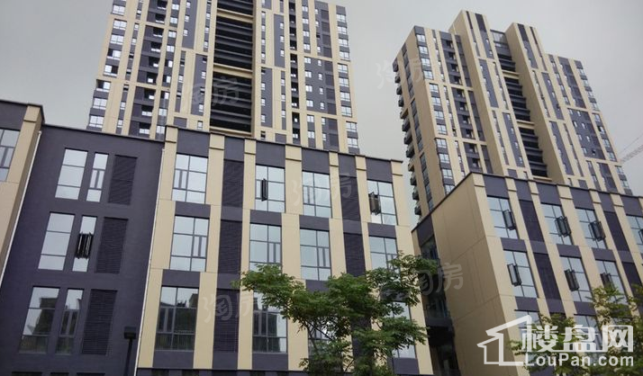 骏丰玲珑坊酒店式公寓实景图