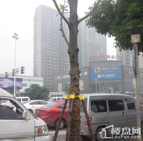 恒大江湾配套图