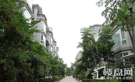 绿中海明苑实景图