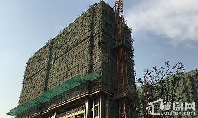佳源梦想广场实景图