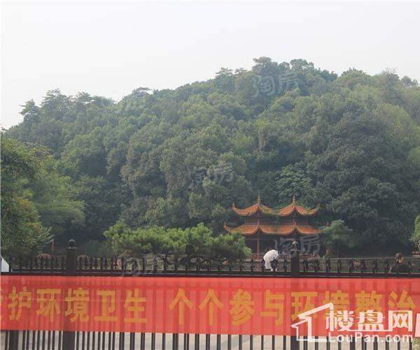 周边配套图