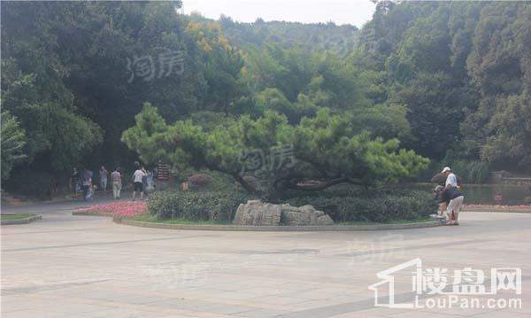 万科紫台配套图