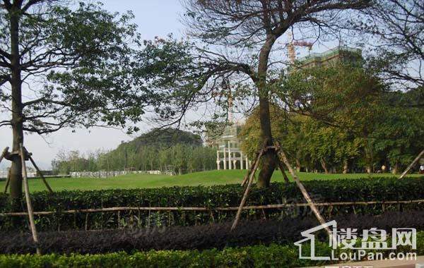 万科紫台实景图