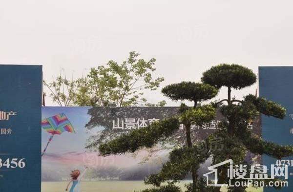 澳海澜庭实景图