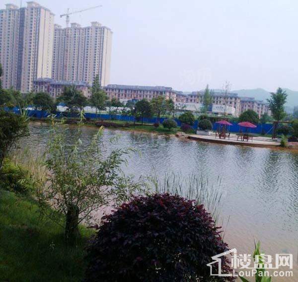 澳海澜庭实景图