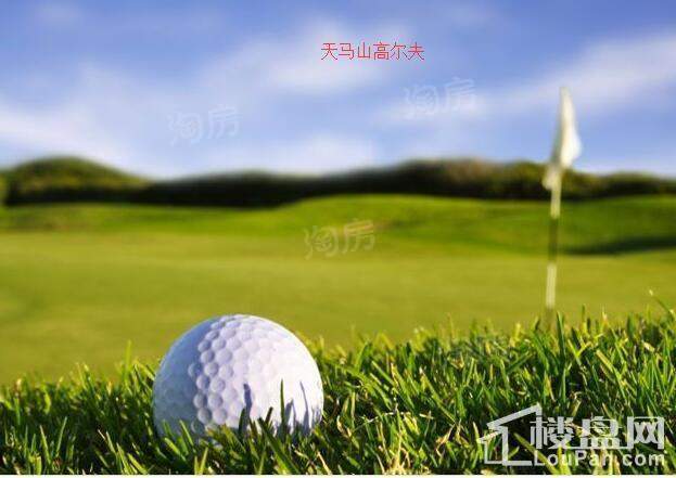 佘山珑原配套图