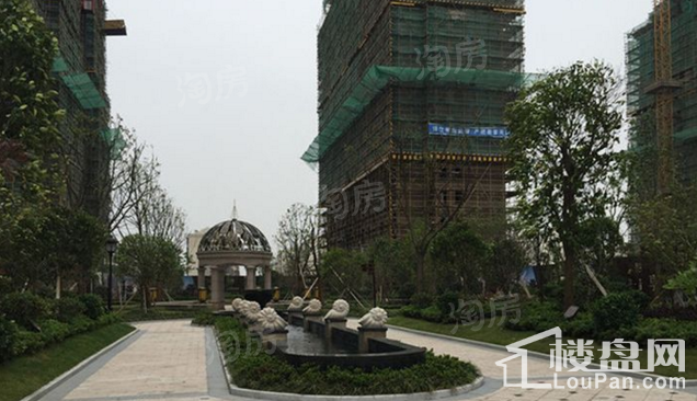 实景图