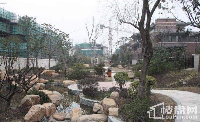 实景图