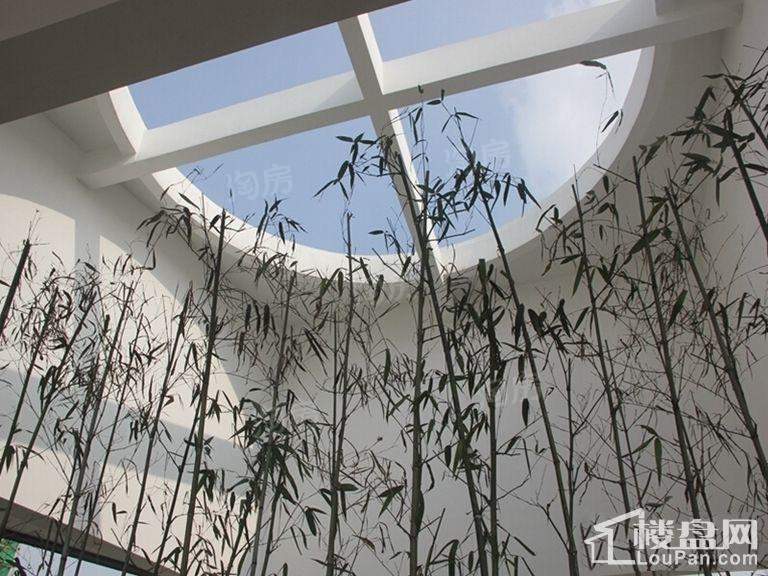中央美郡实景图