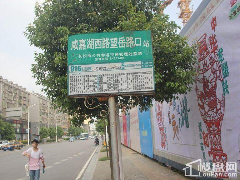 中央美郡配套图