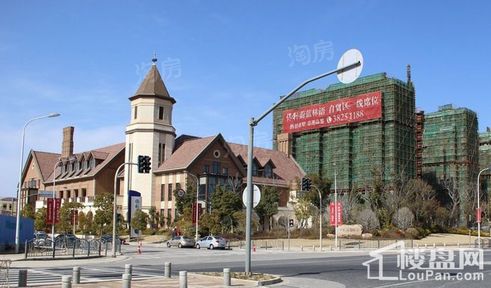 保利蔚蓝林语别墅实景图