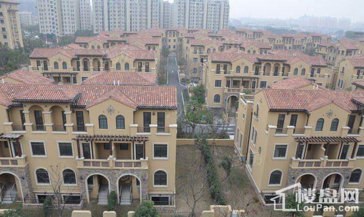海上纳缇实景图