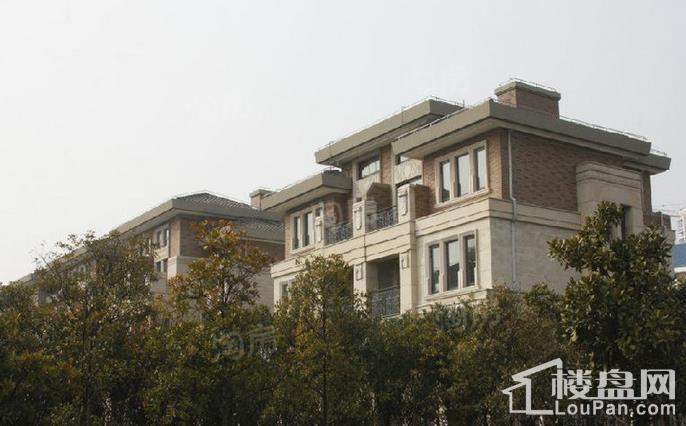 御龙首府实景图