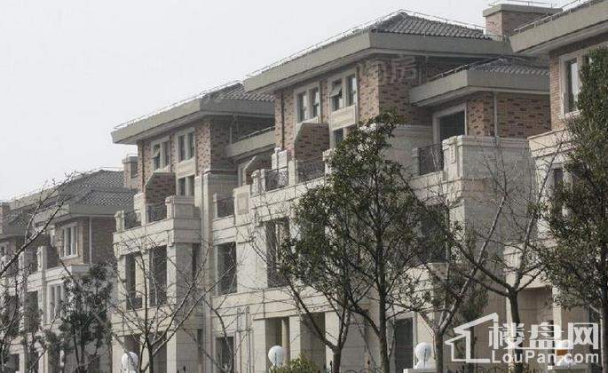 御龙首府实景图