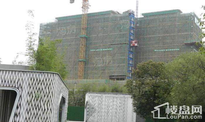 湖湘中心·樾山实景图