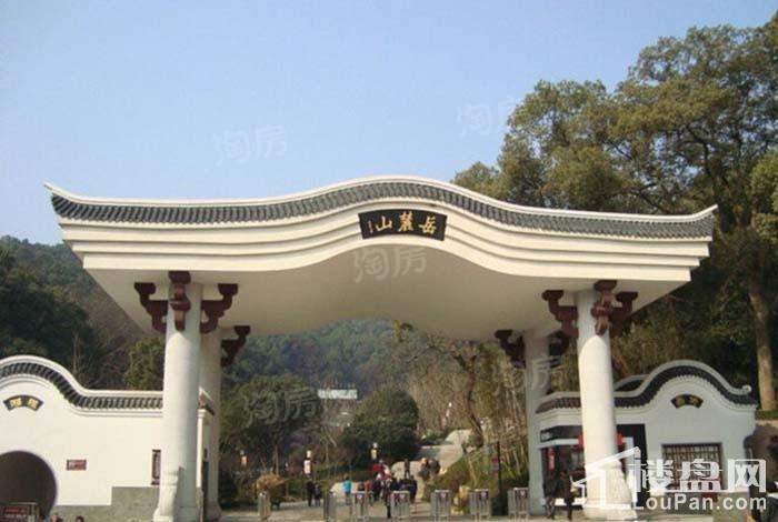 湖湘中心·樾山配套图