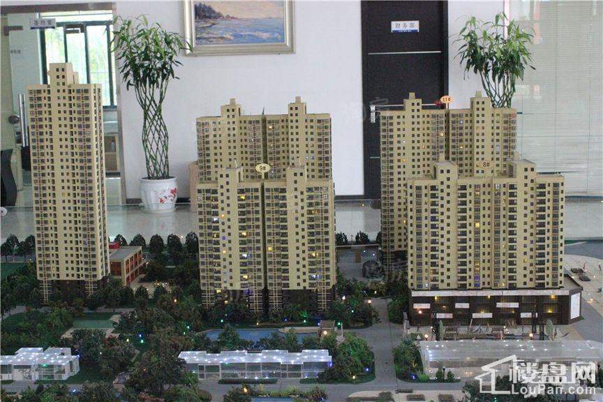 实景图