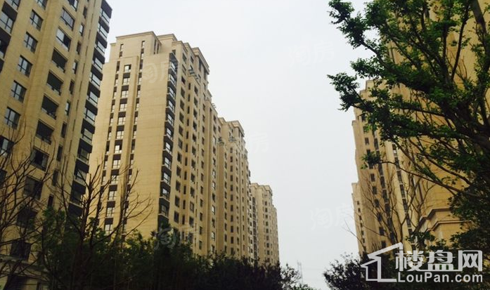 中金海棠湾实景图