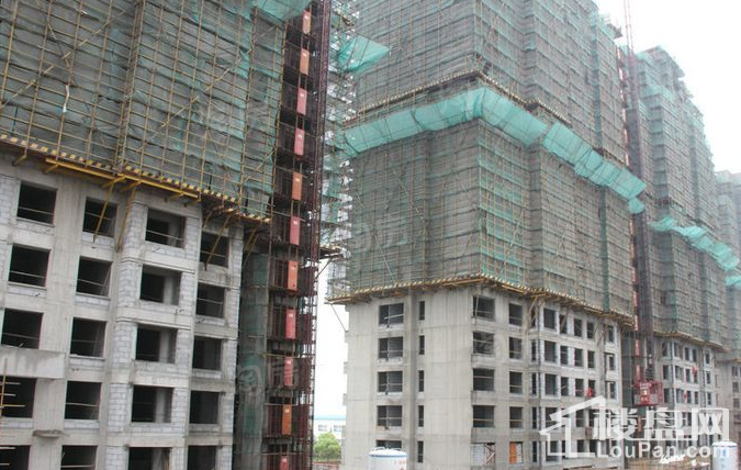 中金海棠湾实景图