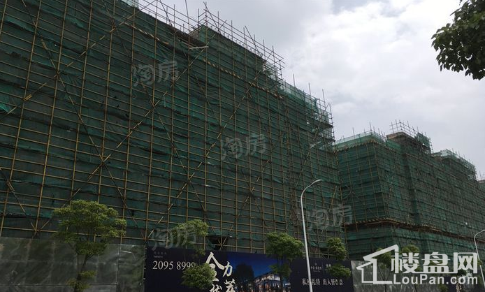 中金海棠湾实景图