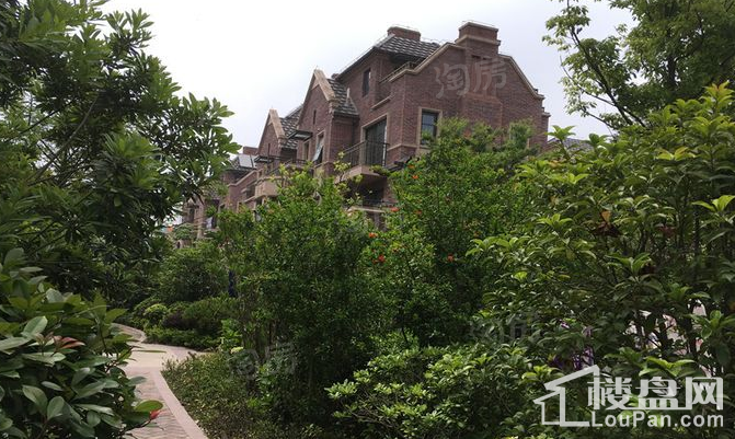 中金海棠湾实景图