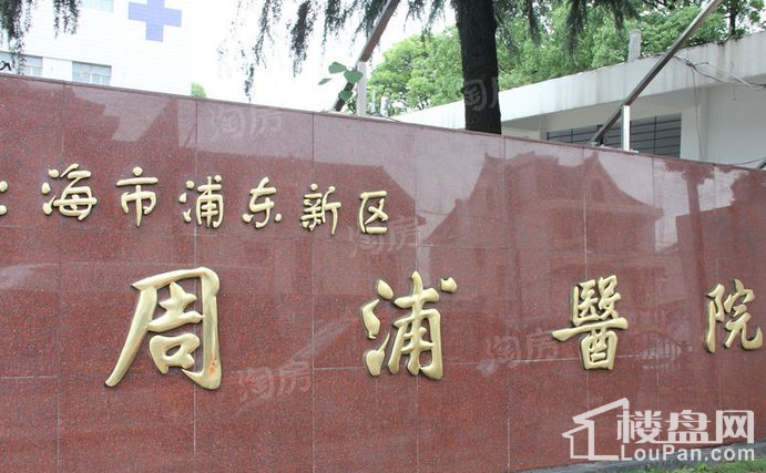 中金海棠湾配套图