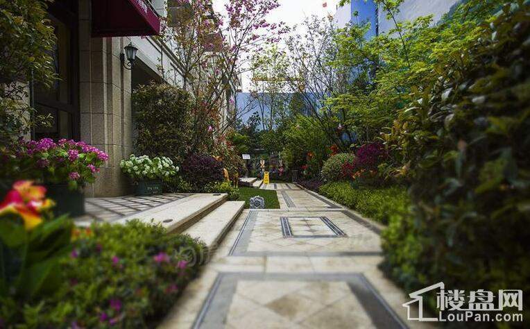 上坤旭辉墅实景图