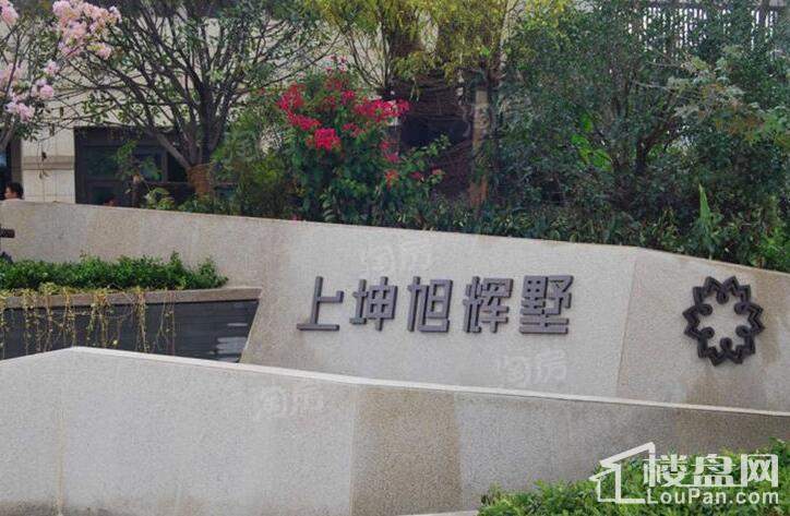 上坤旭辉墅实景图