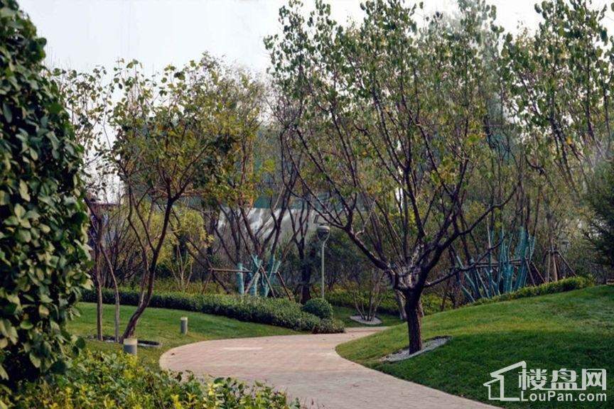 泰禾中央广场实景图