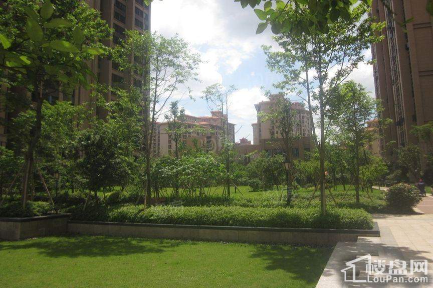 时代倾城·遇见实景图