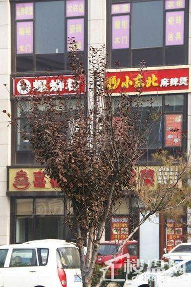 泰禾中央广场配套图