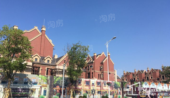 实景图