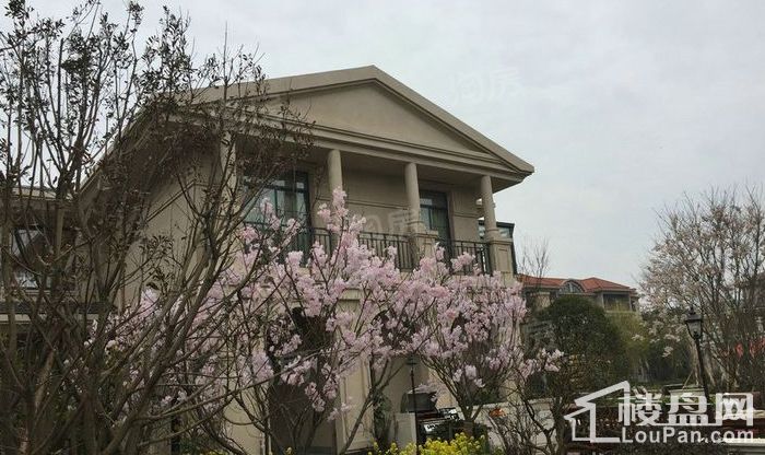 景瑞法兰云廷实景图