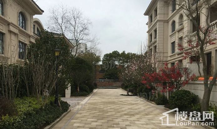 景瑞法兰云廷实景图