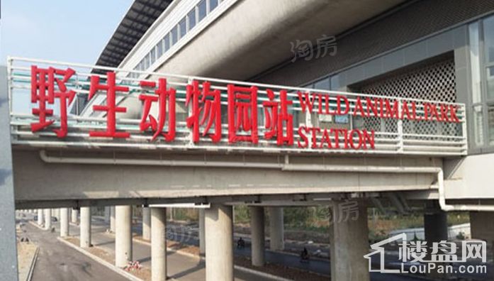 景瑞法兰云廷配套图