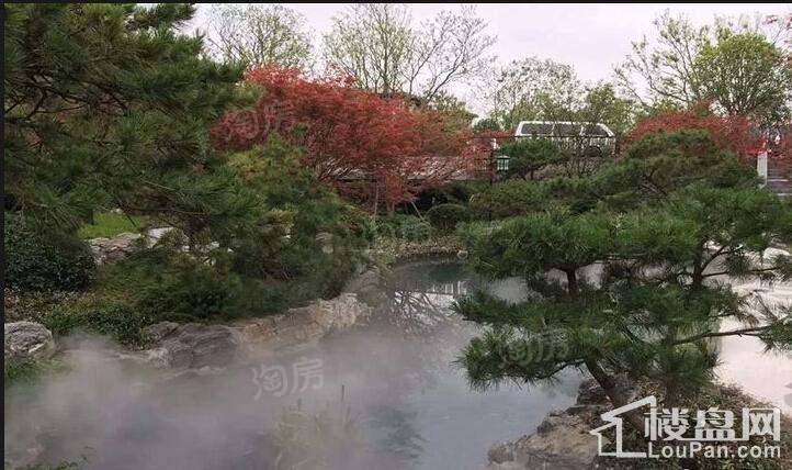 华贸东滩花园实景图