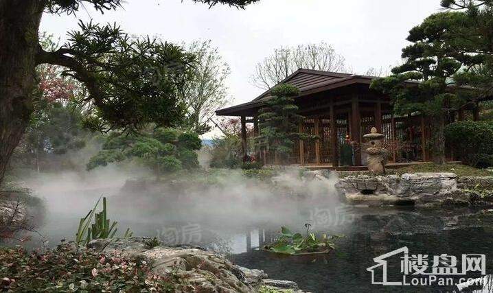 华贸东滩花园实景图
