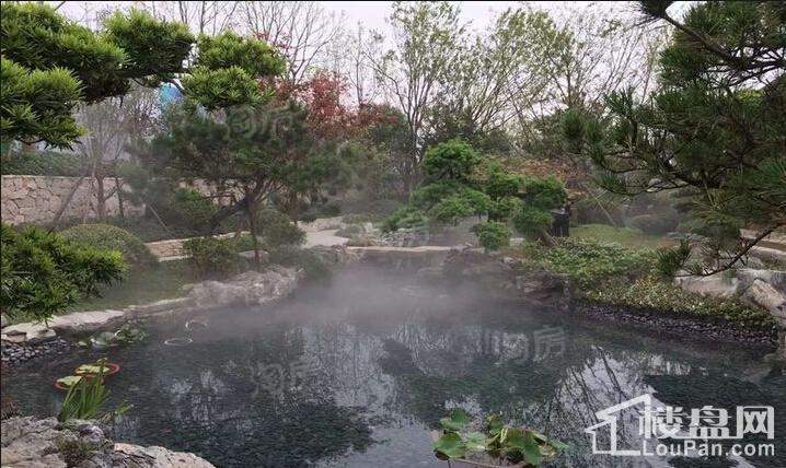 实景图