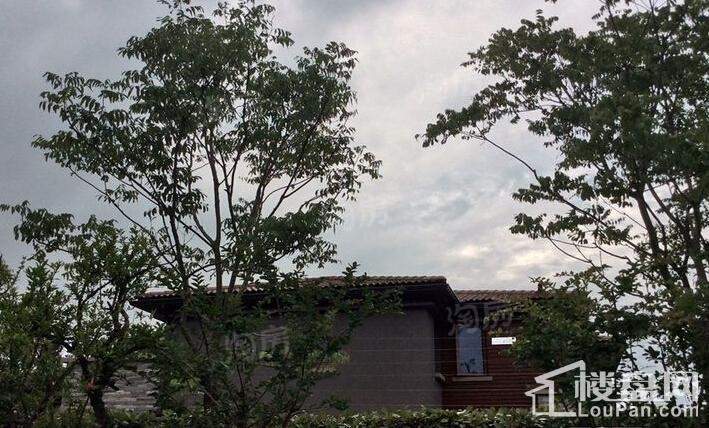 华贸东滩花园实景图