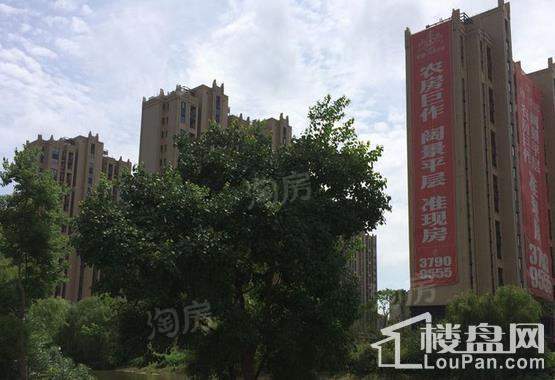 光明万盛金邸实景图