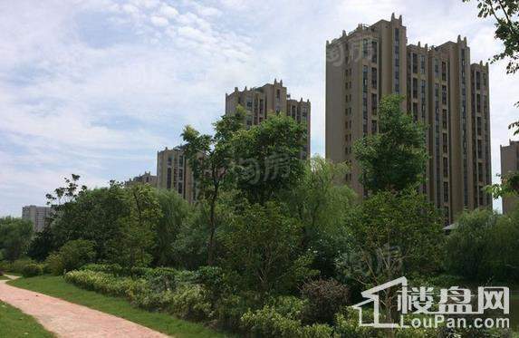 光明万盛金邸实景图